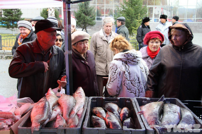 Эх, хвост, чешуя (+фото)